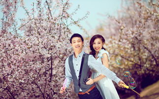 全城超值套系 合肥卡罗国际婚纱摄影公馆精品折扣